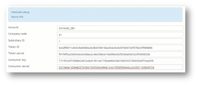 Invoice Processing - Connect to NetSuite